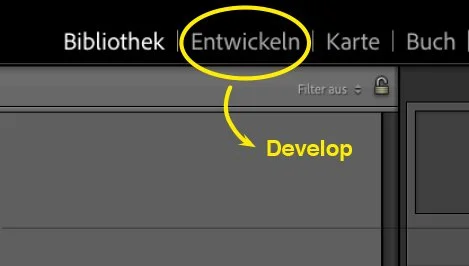 Screenshot von Lightroom Classic im Entwickeln Modus