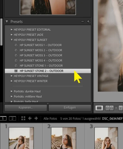 Anwendung von Hey Poly Presets in Adobe Lightroom Classic