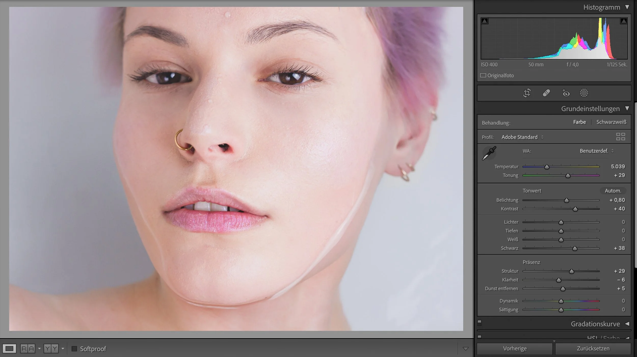 Grundeinstellungen in Lightroom