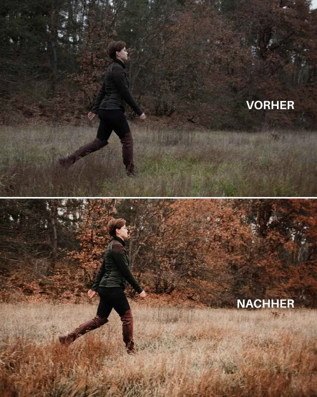 Autumn-Preset-vorher-nachher-heypoly.jpg