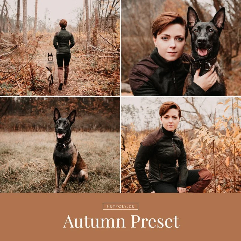heypoly-preset-autumn5.jpg