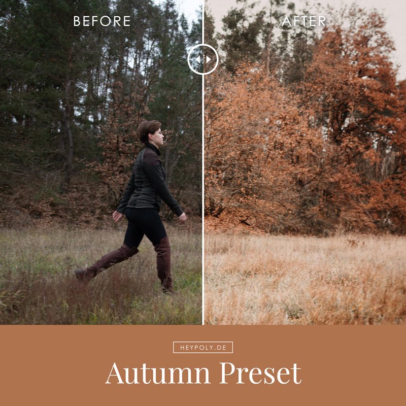 heypoly-preset-autumn6.jpg