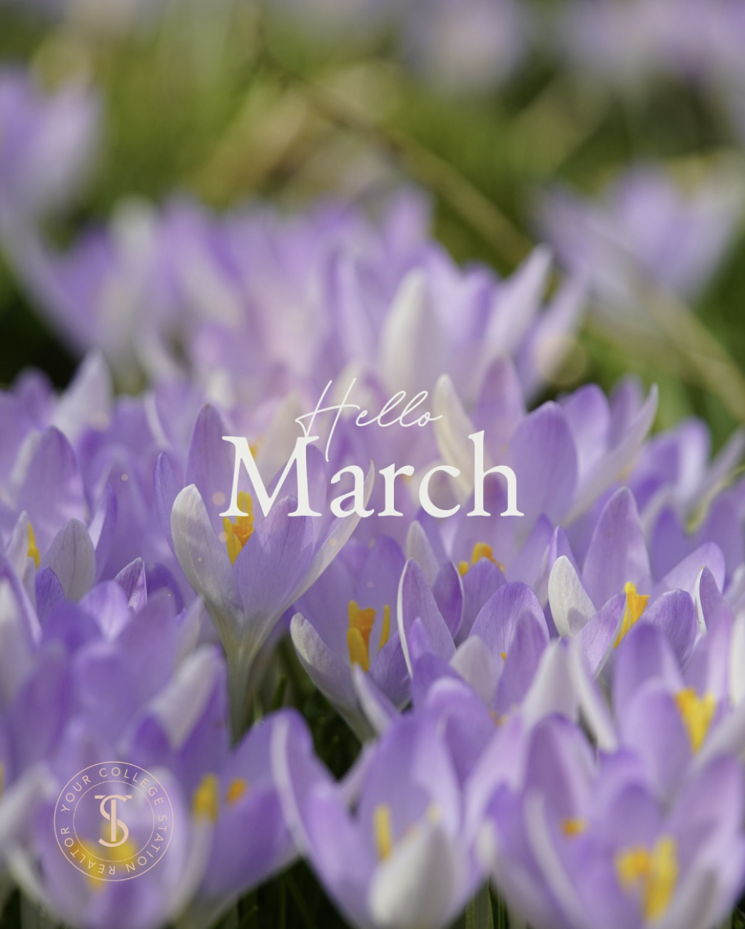 Out and About BCS: March 2026