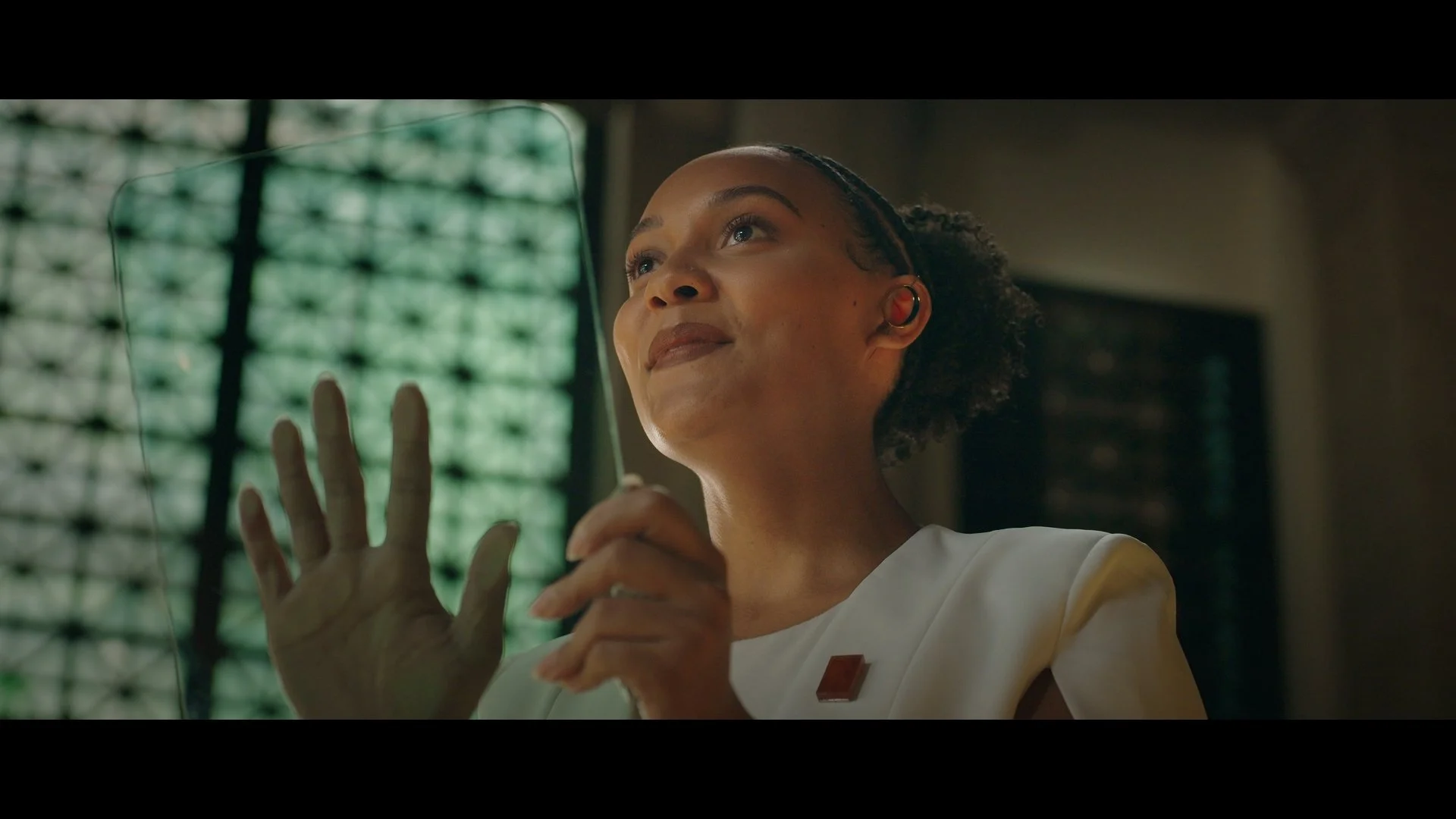 SURROGATE CALIBRATION.jpg