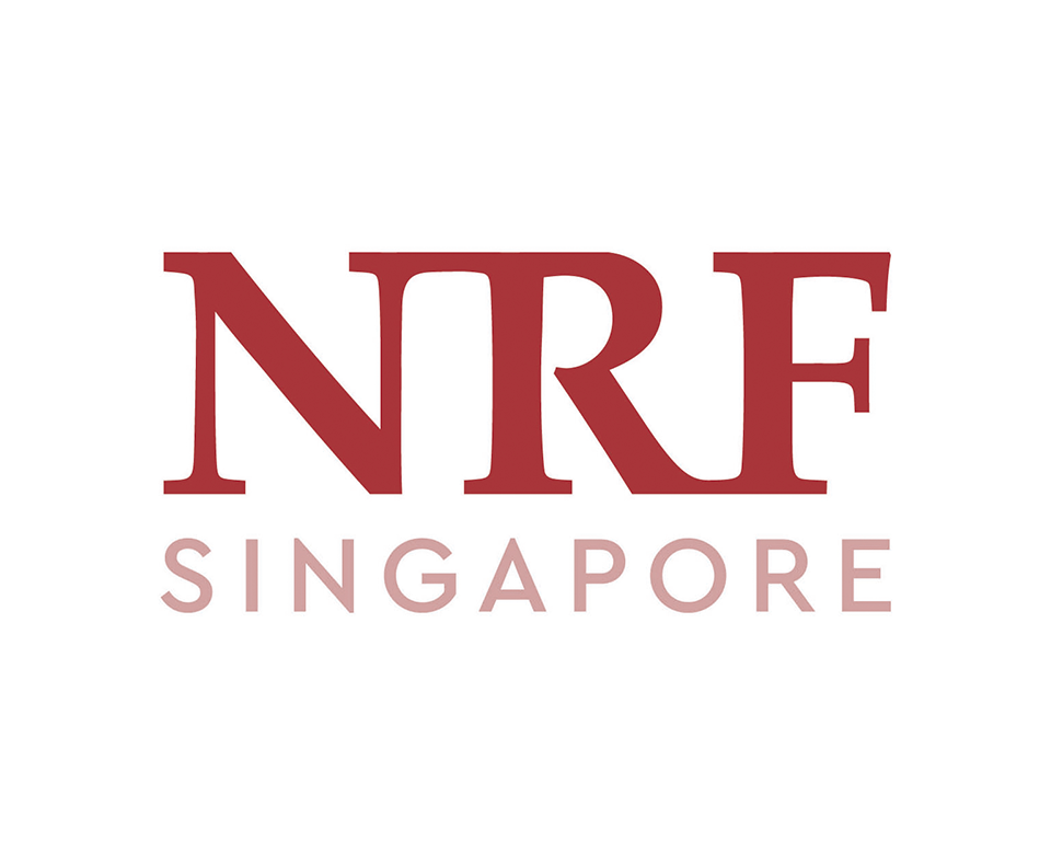Dr. Ying Kai Loh awarded NRF Fellowship Grant!