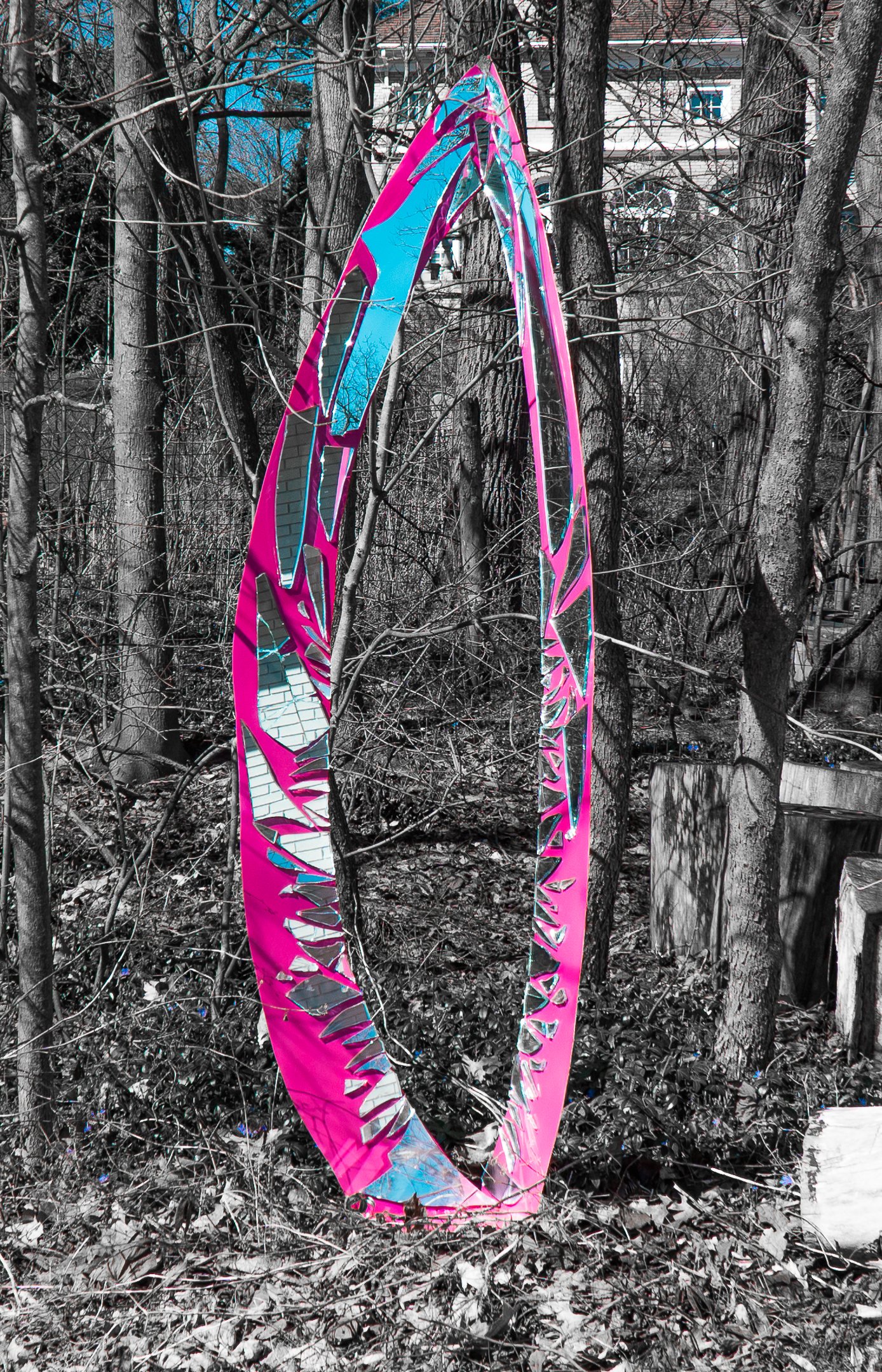 Copy of A6601430.jpg