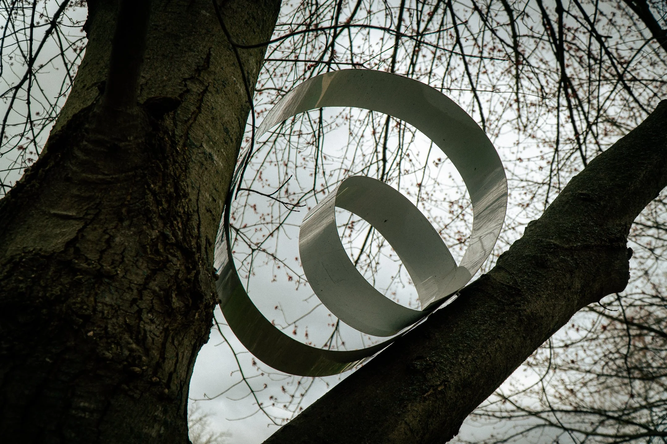 Copy of A6600367.jpg