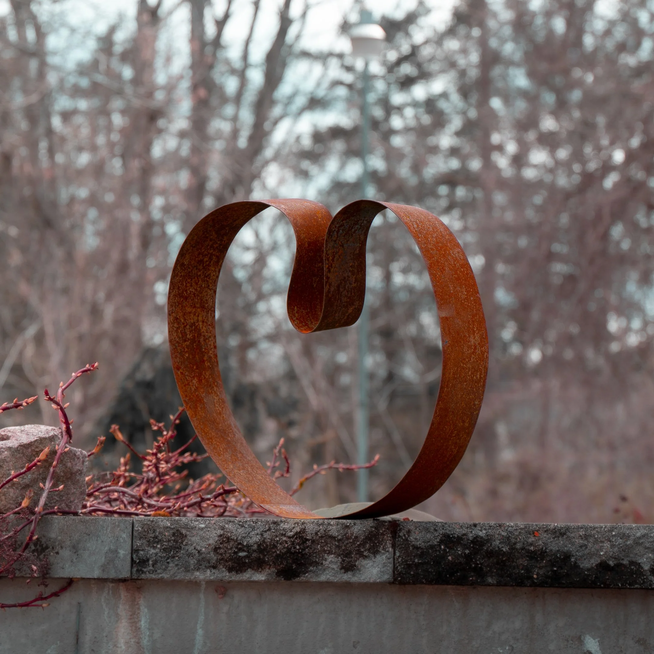 Copy of A6600255.jpg