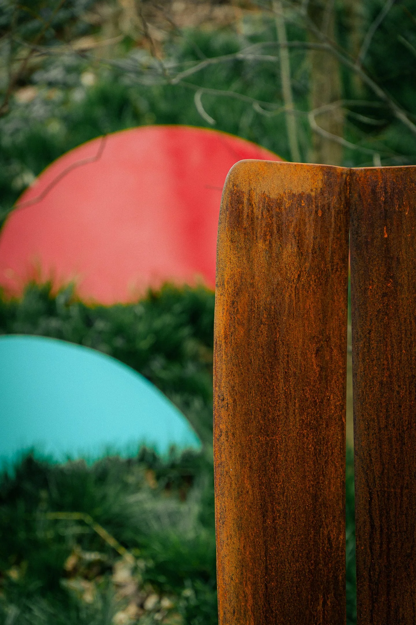 Copy of A6600477.jpg