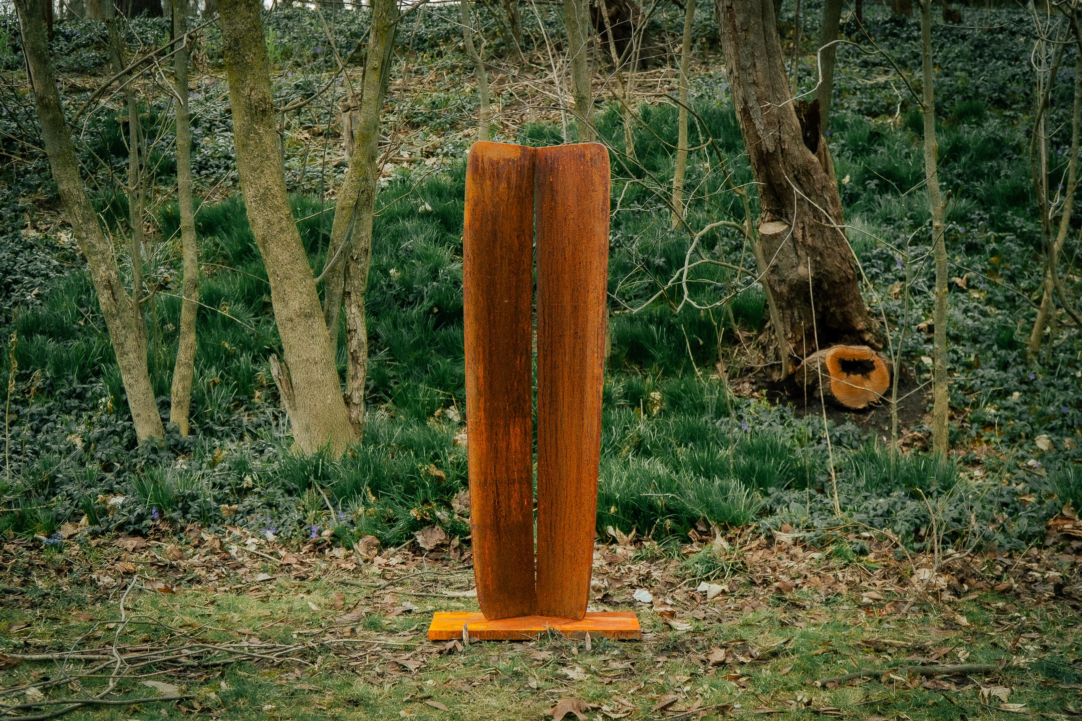  The Light Between Us 2024.jpg