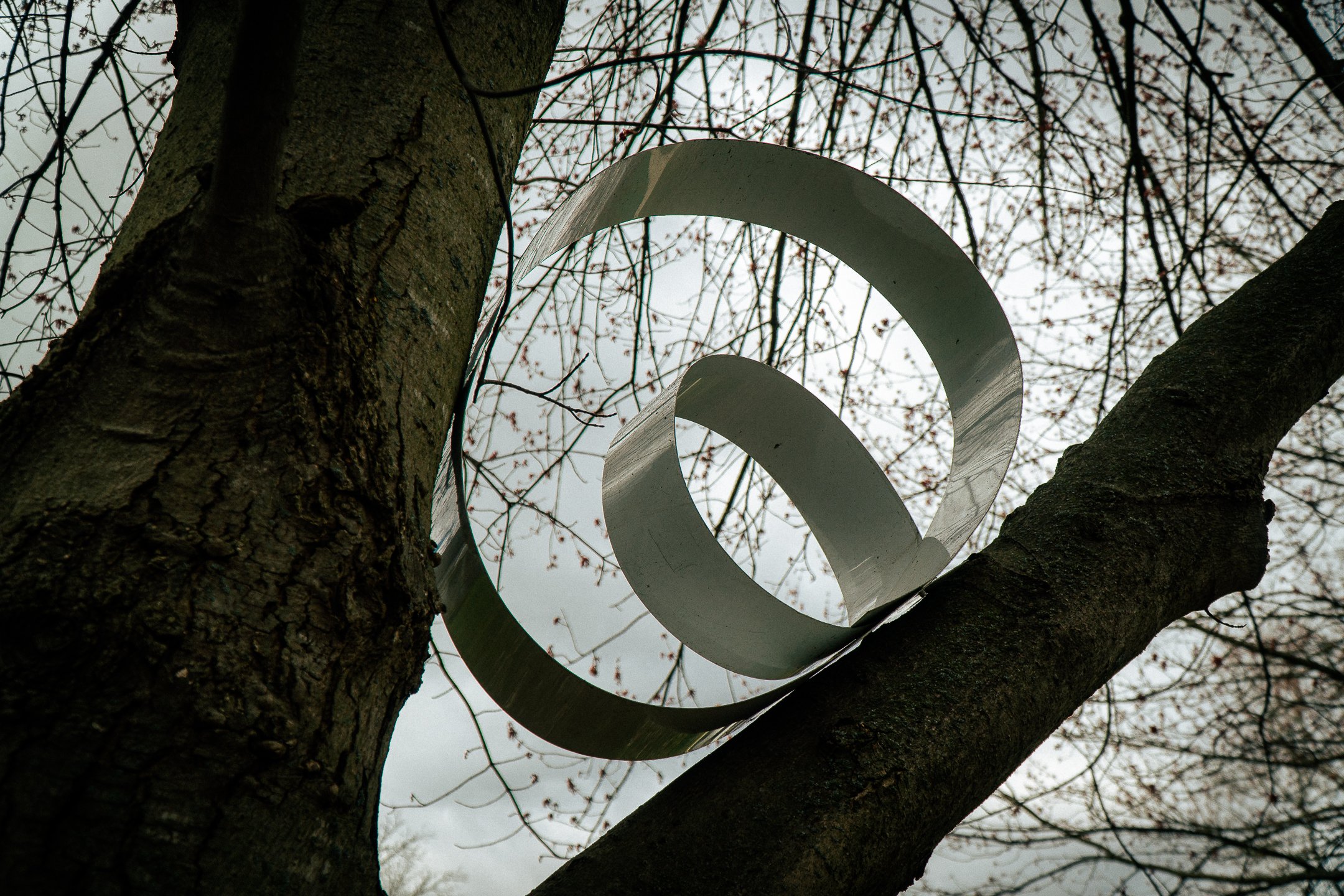 Copy of A6600367.jpg