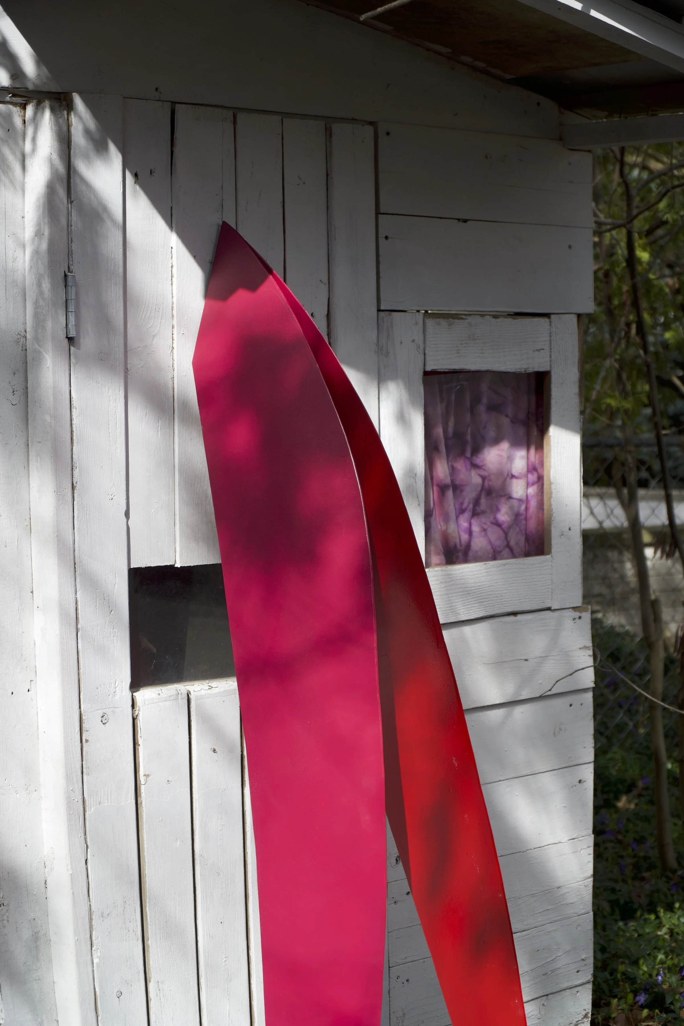 Red Bud_ 2023-01.jpg