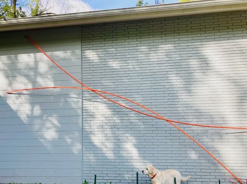 Orange Kiss_ 2023(1).jpeg