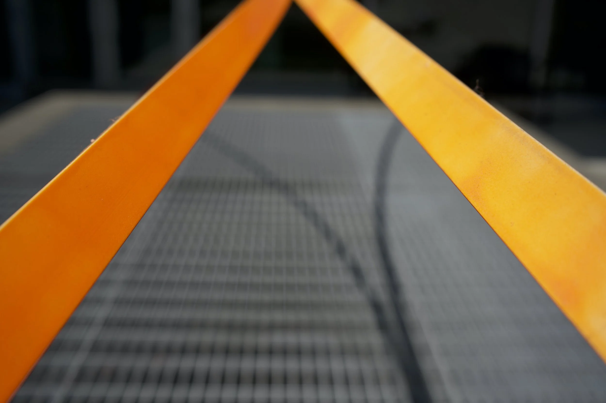 Orange Kiss_ 2023.jpg