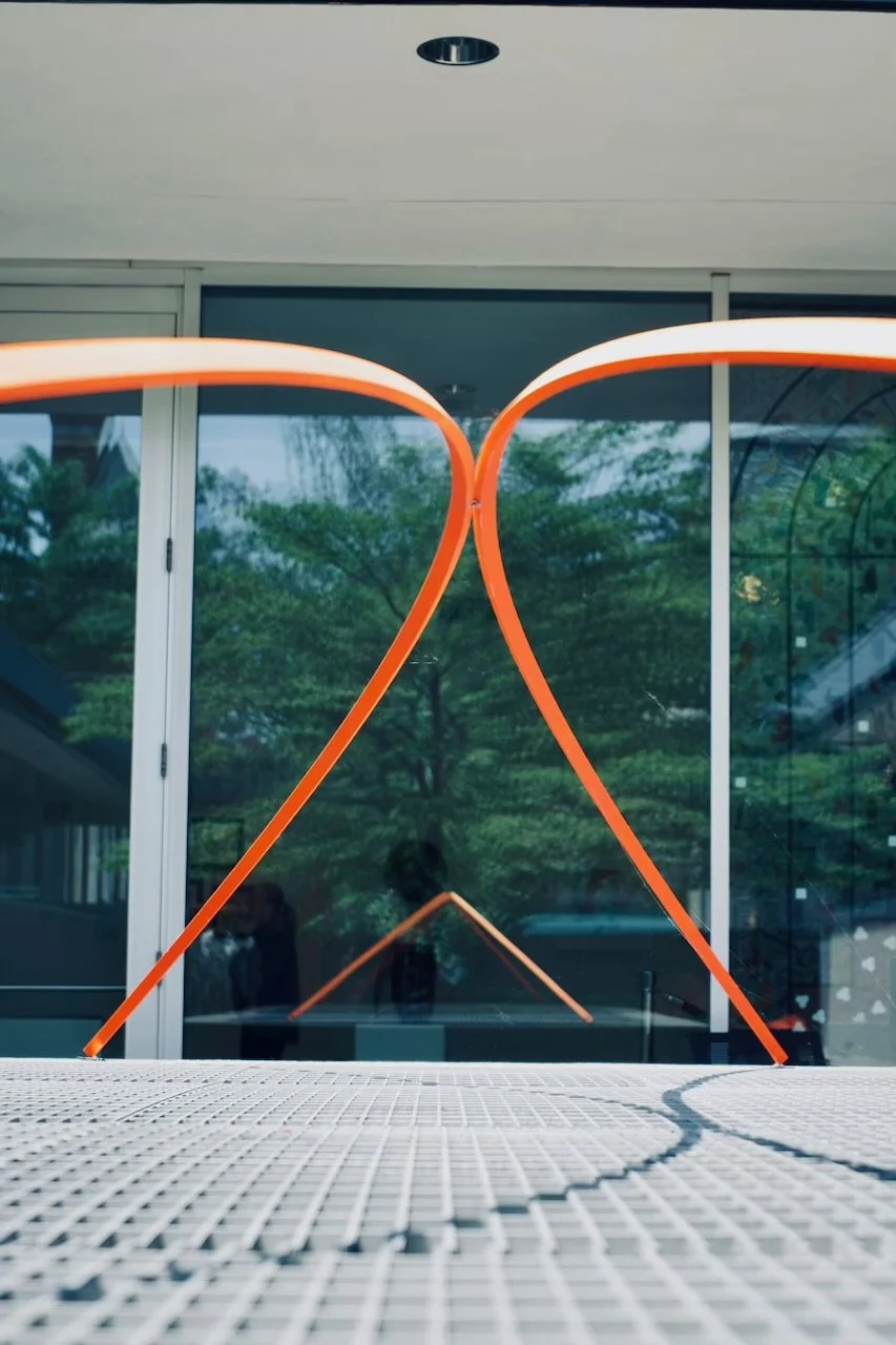 Orange Kiss_ 2023.jpeg