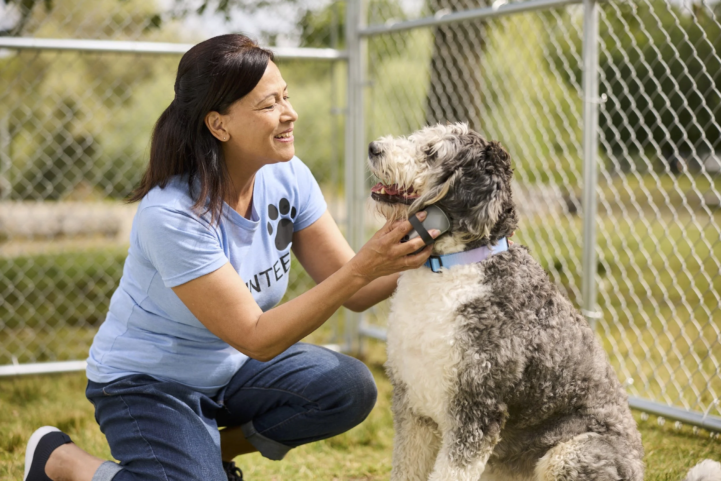 07-10-25-UHC-PY26-AEP-Shot05-AnimalShelter-MA-0913.jpg