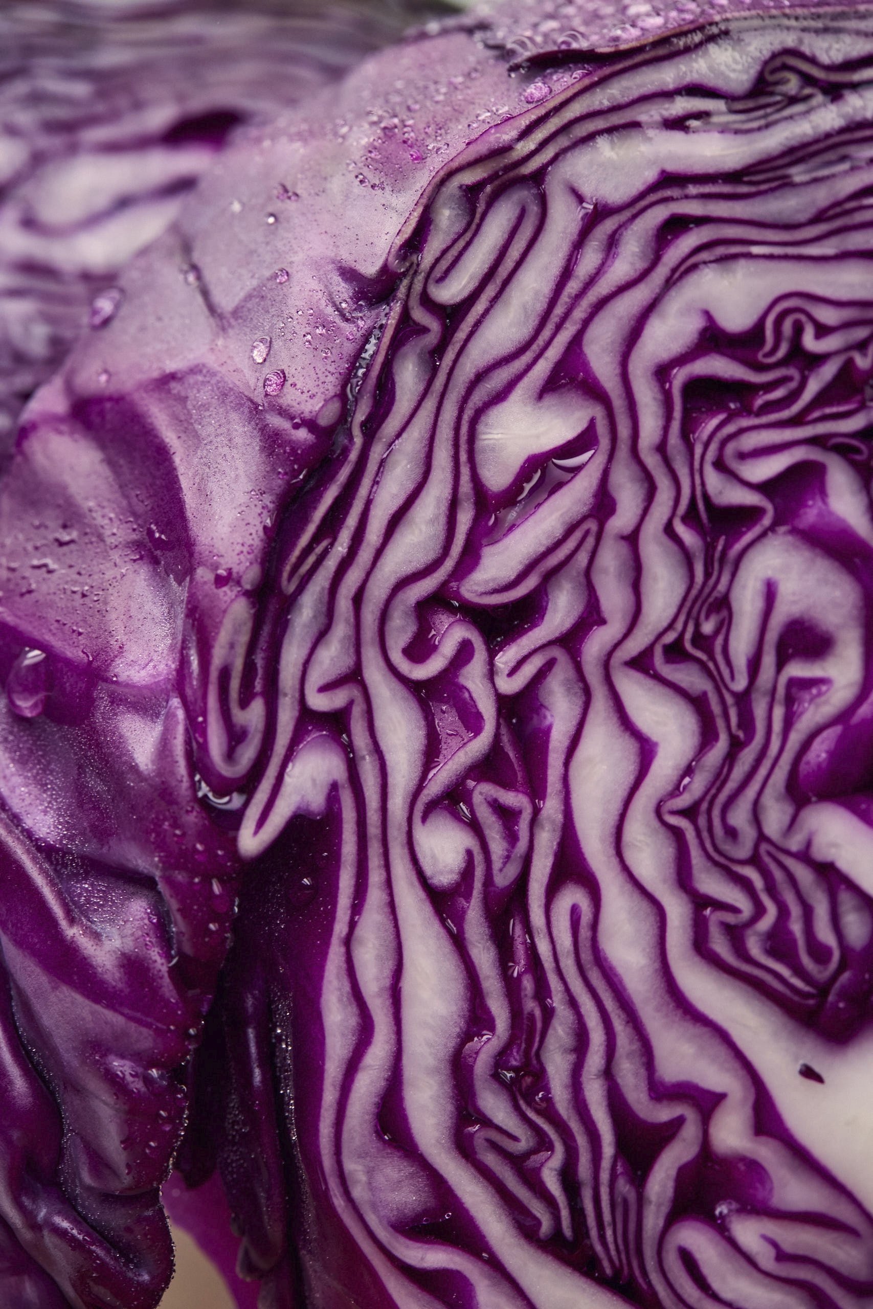 07-21-26-WFM-Shot04-Textures-1675.jpg