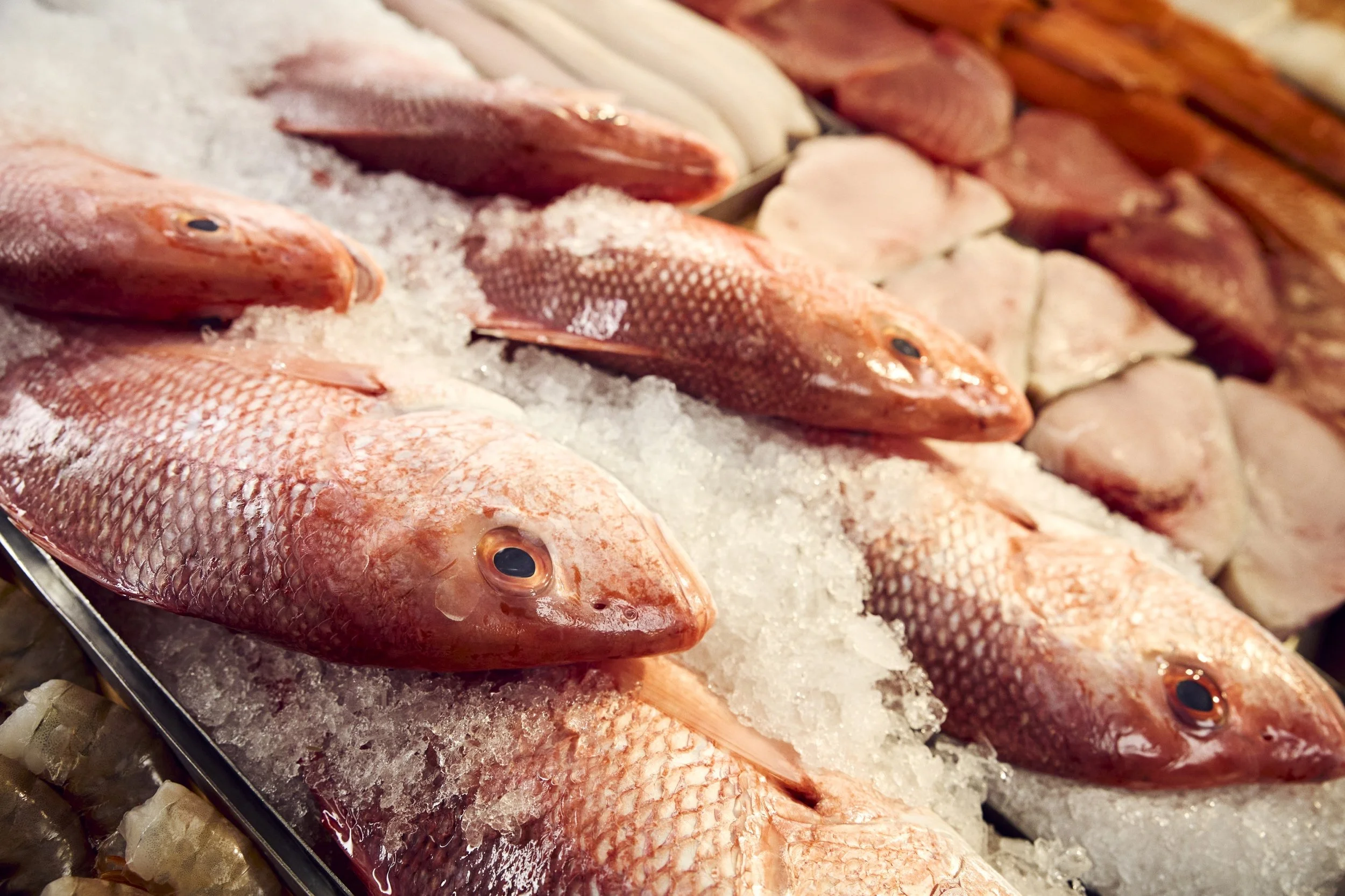 07-23-26-WFM-Shot02-SeafoodDept-0356_V03_QC.jpg