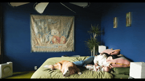 SELB0176.MP4.gif