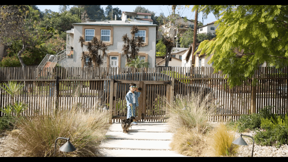 SELB3108.MP4.gif