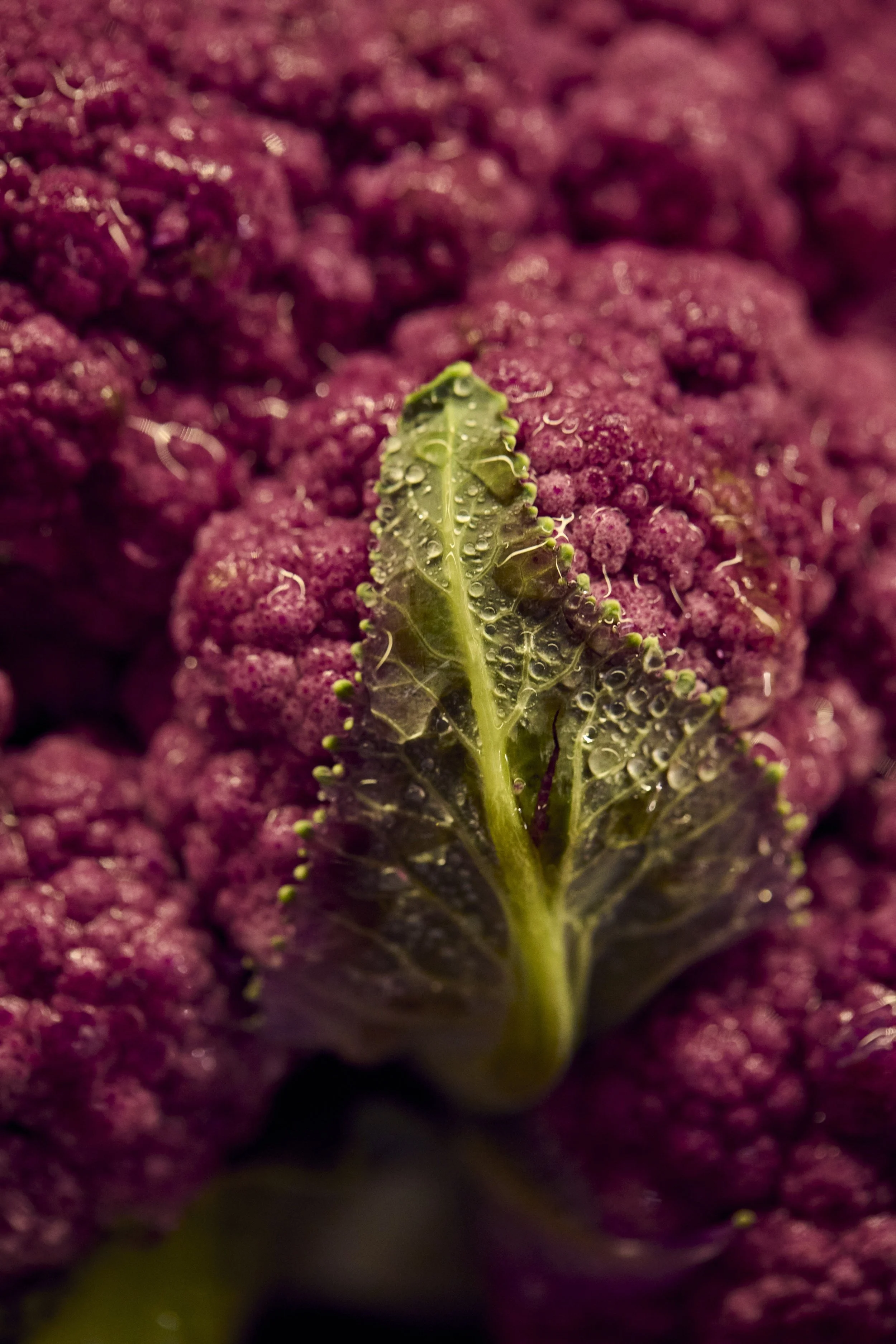07-23-26-WFM-Shot04-ProduceDept-2127_V02_QC.jpg