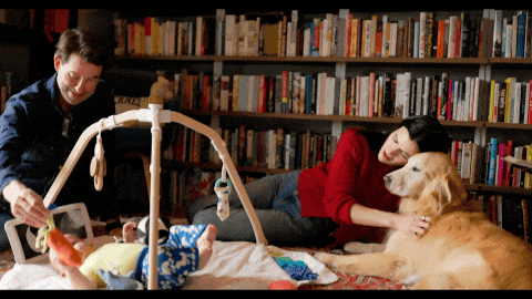 SELB0173.MP4.gif
