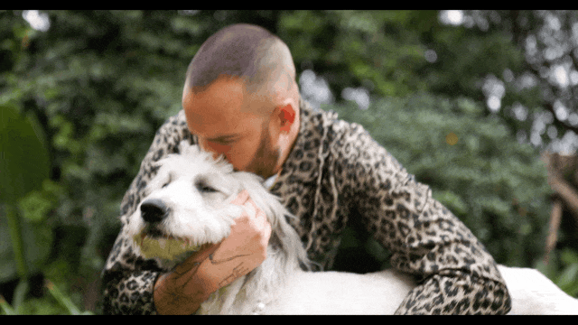 SELB0197.MP4.gif