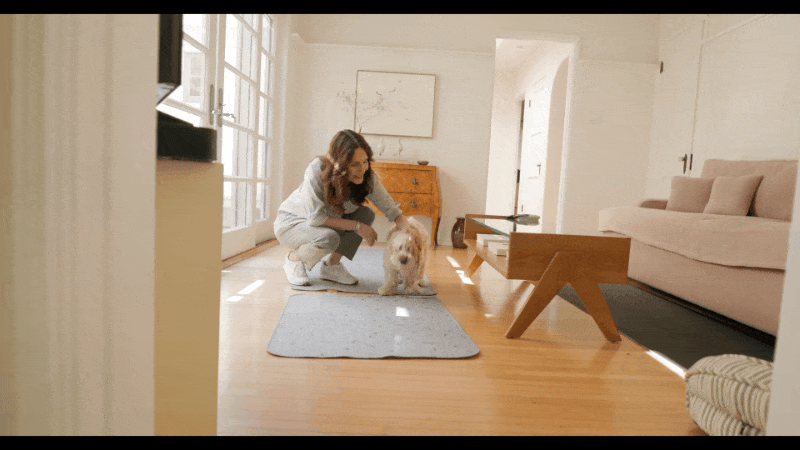 A006C217_260318VL_CANON.MXF.gif