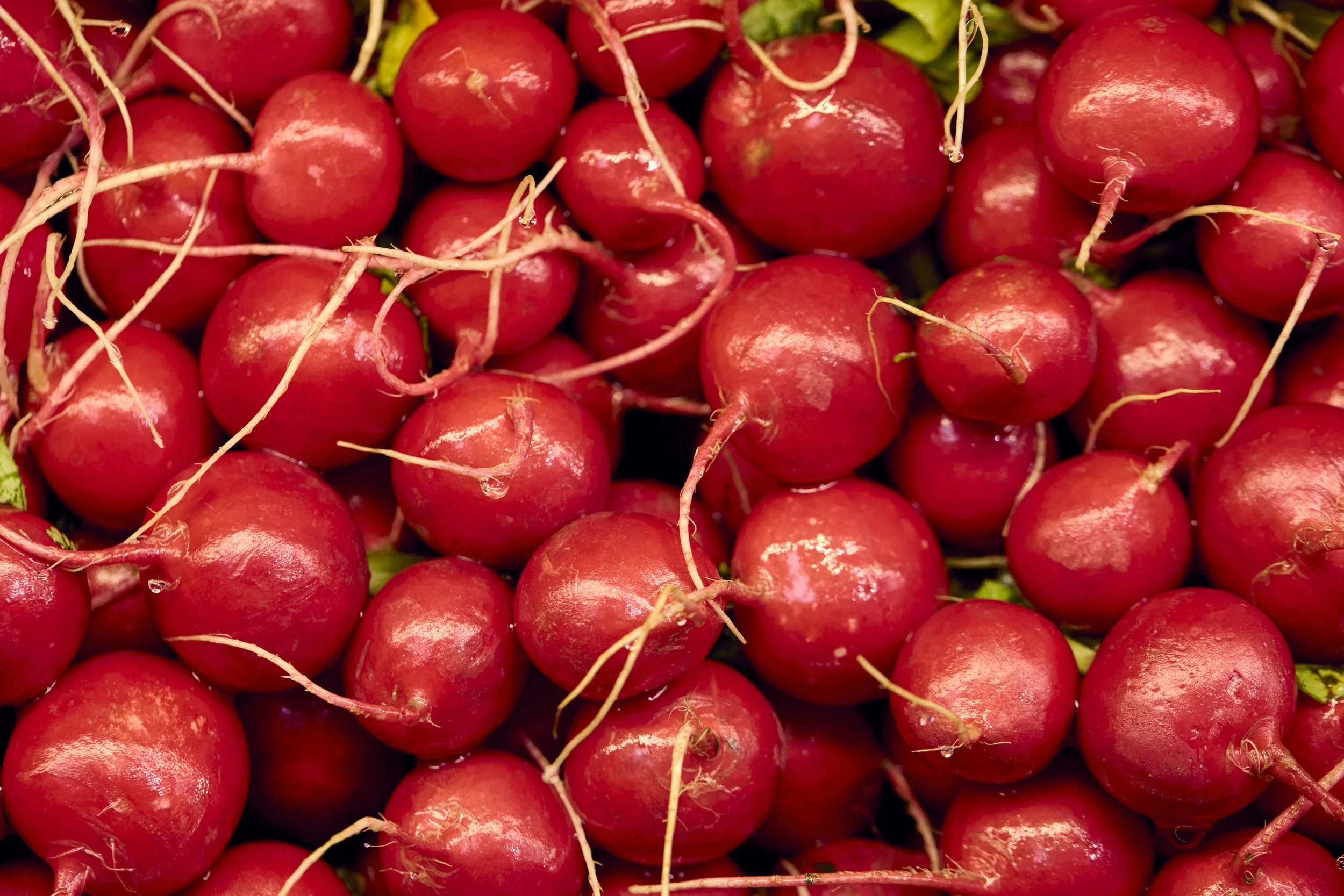 07-23-26-WFM-Shot04-ProduceDept-1818_V02_QC.jpg
