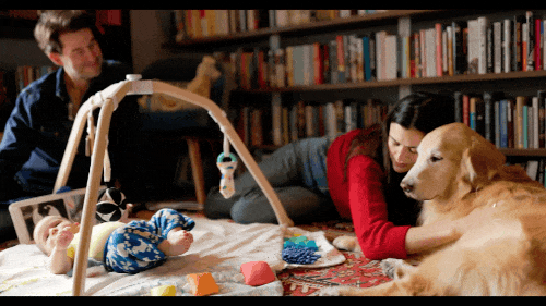 SELB0174.MP4.gif