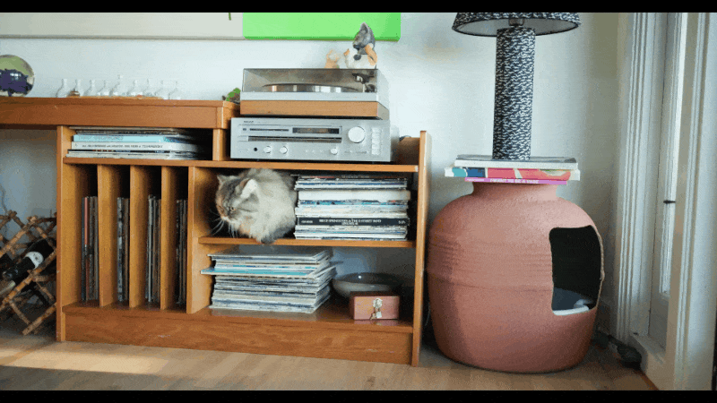 SELB4284.MP4.gif