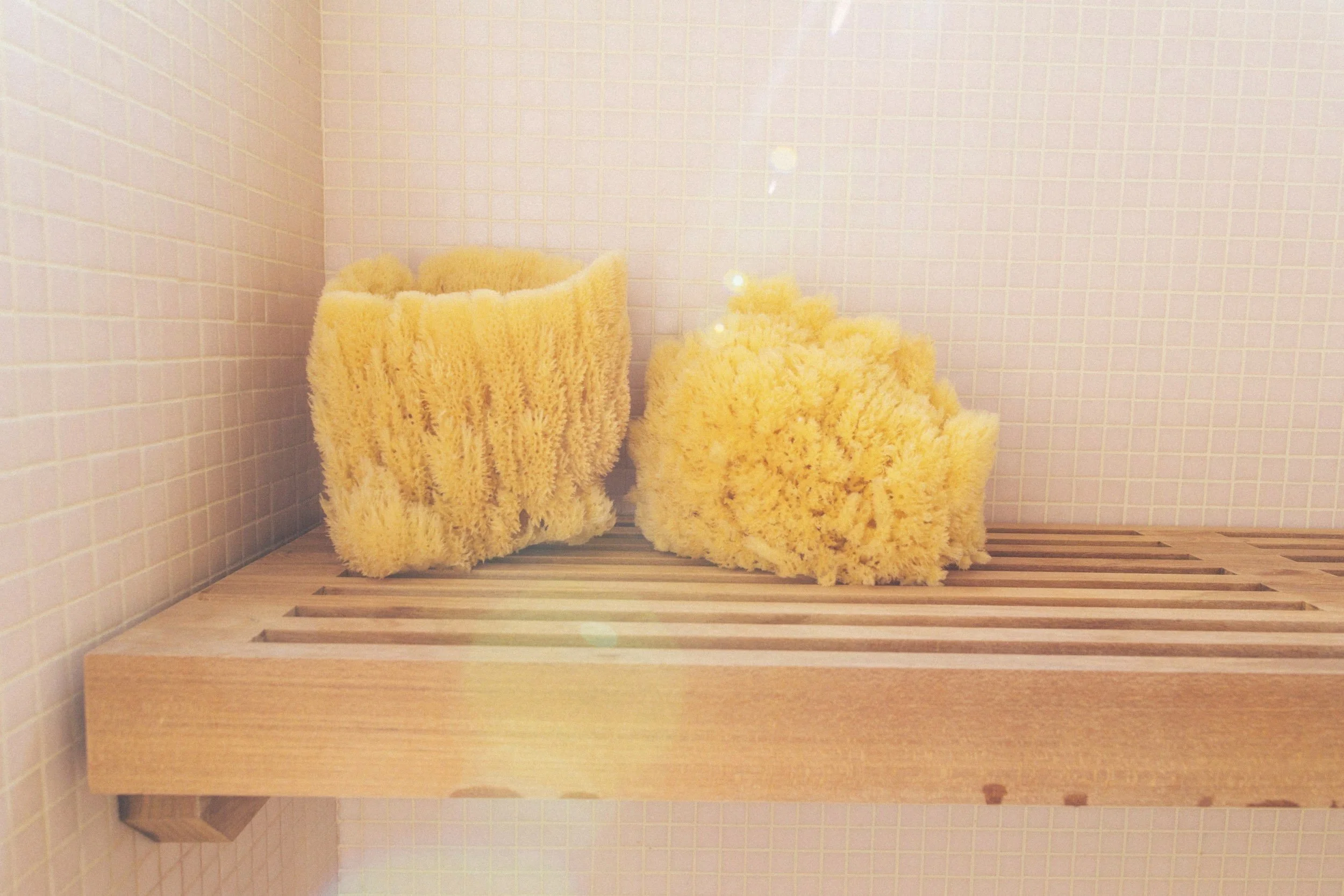 11_15_17_Irene_Neuwirth_Elle_0804.jpg