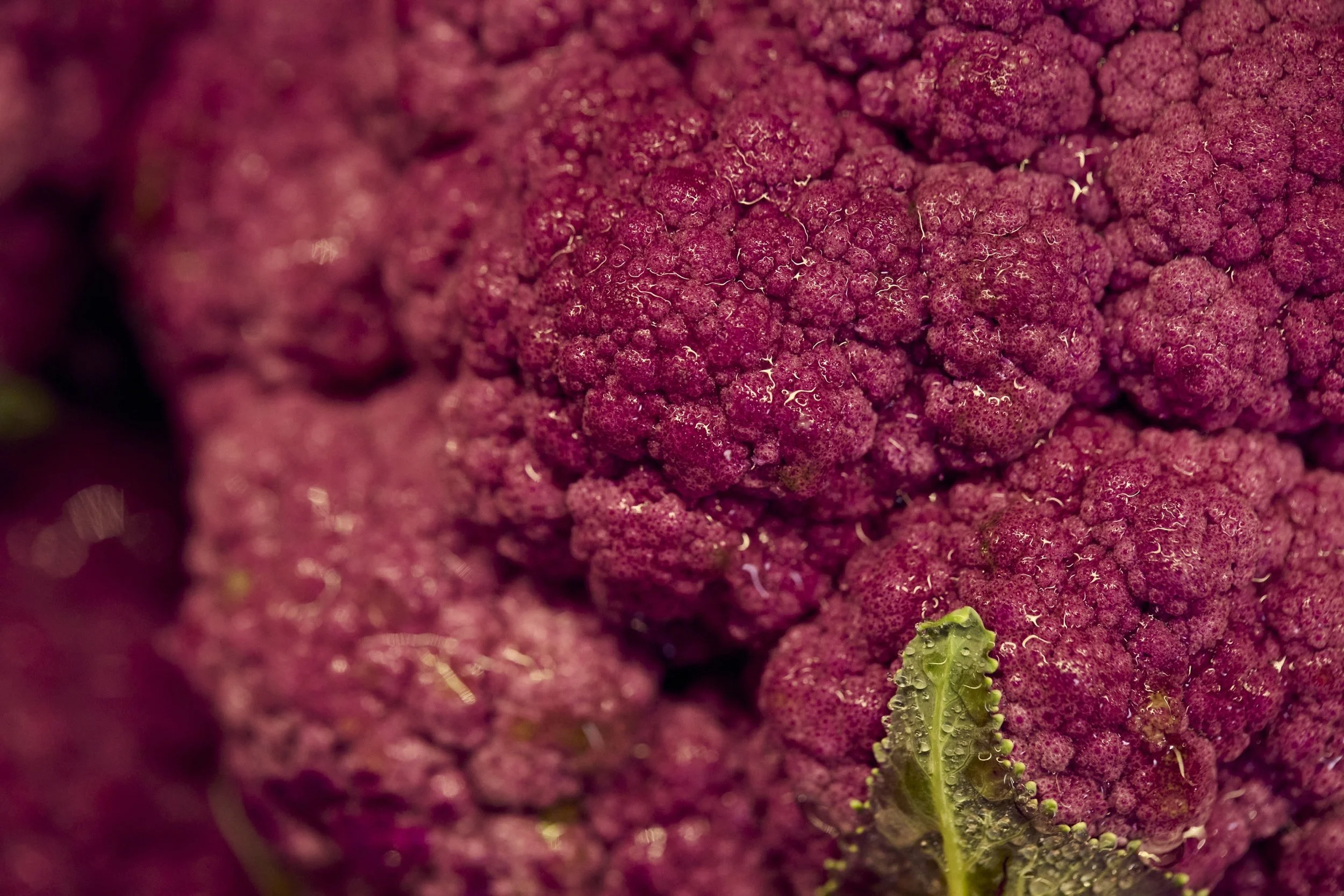 07-23-26-WFM-Shot04-ProduceDept-2121_V01_QC.jpg
