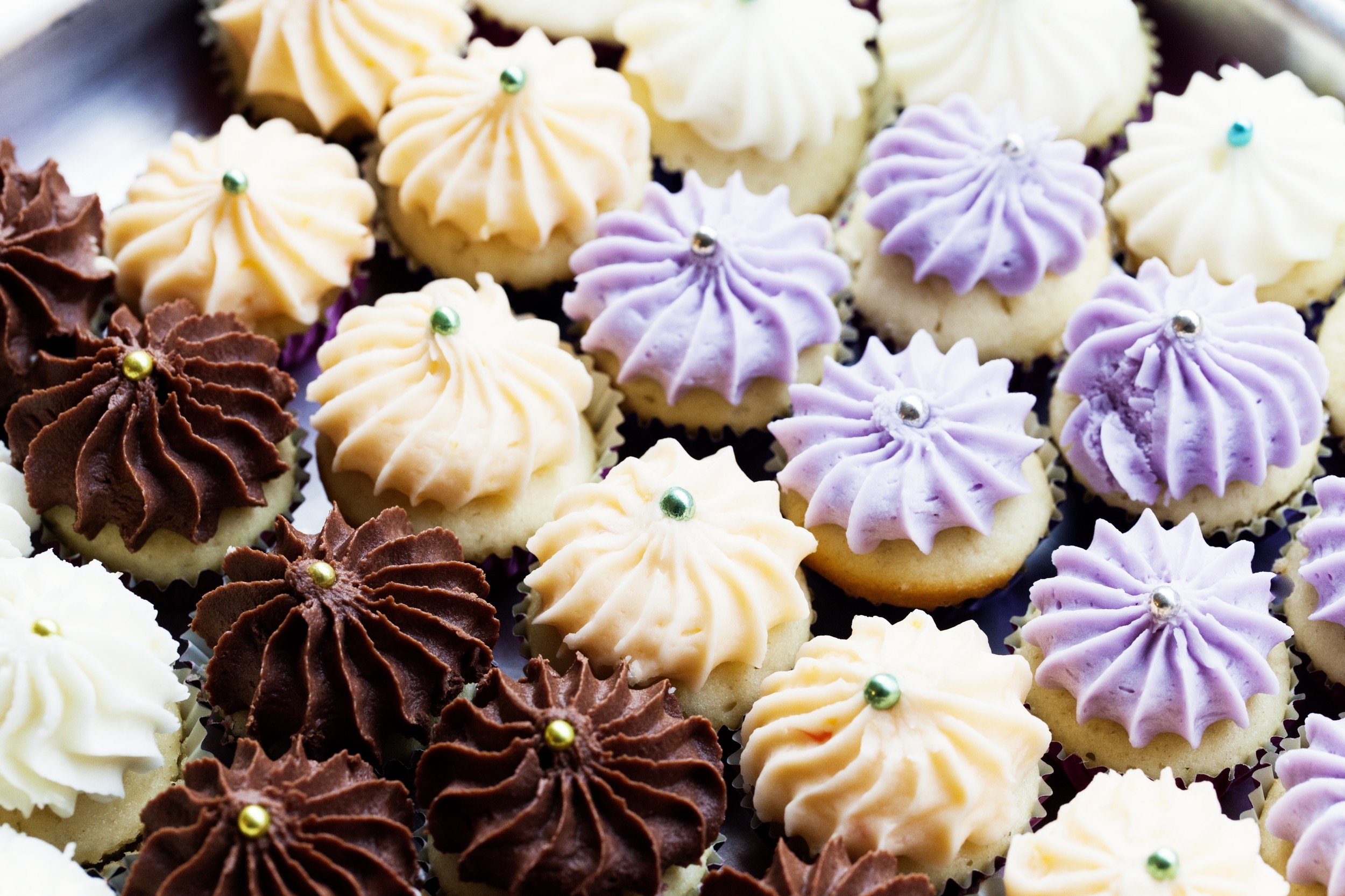 1_15_11_ClairePtakViolet54959.jpg