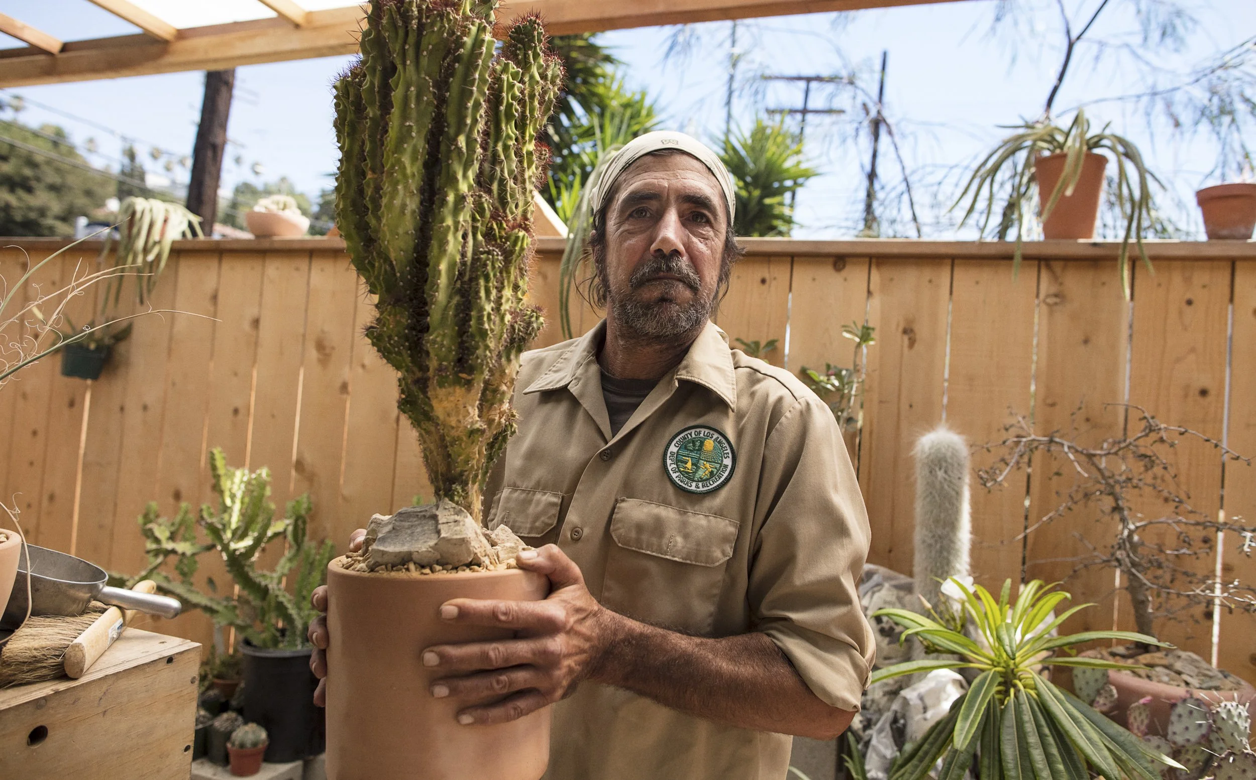 7_3_15_CactusShopLa21594_v4.jpg