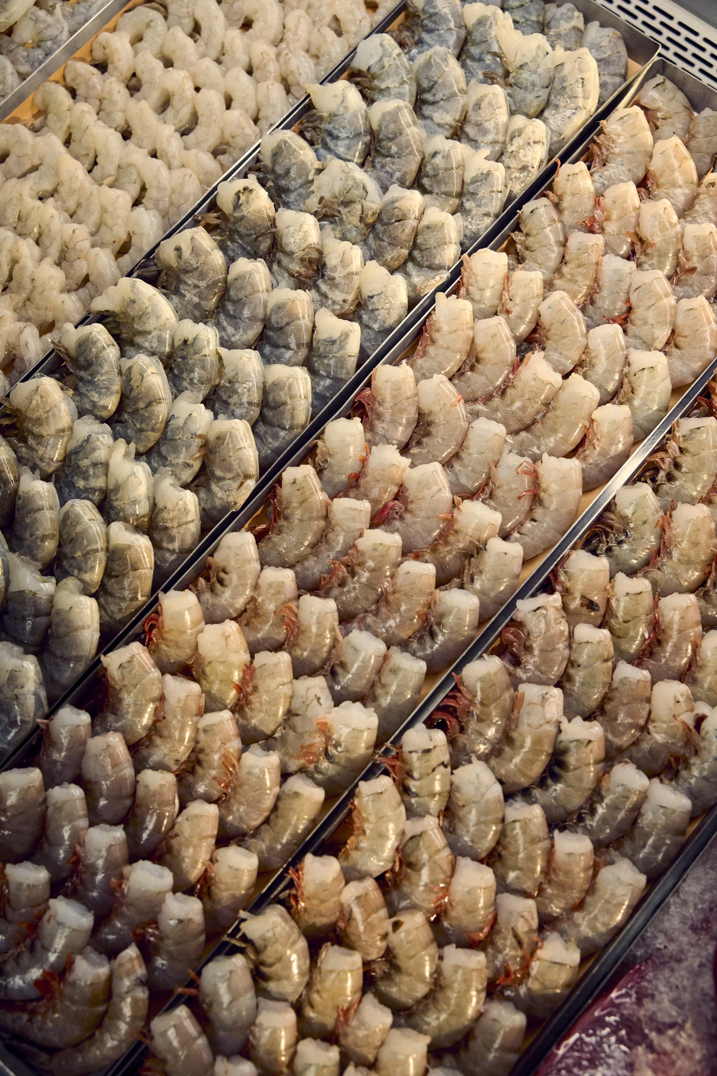 07-23-26-WFM-Shot02-SeafoodDept-0262_V02_QC.jpg