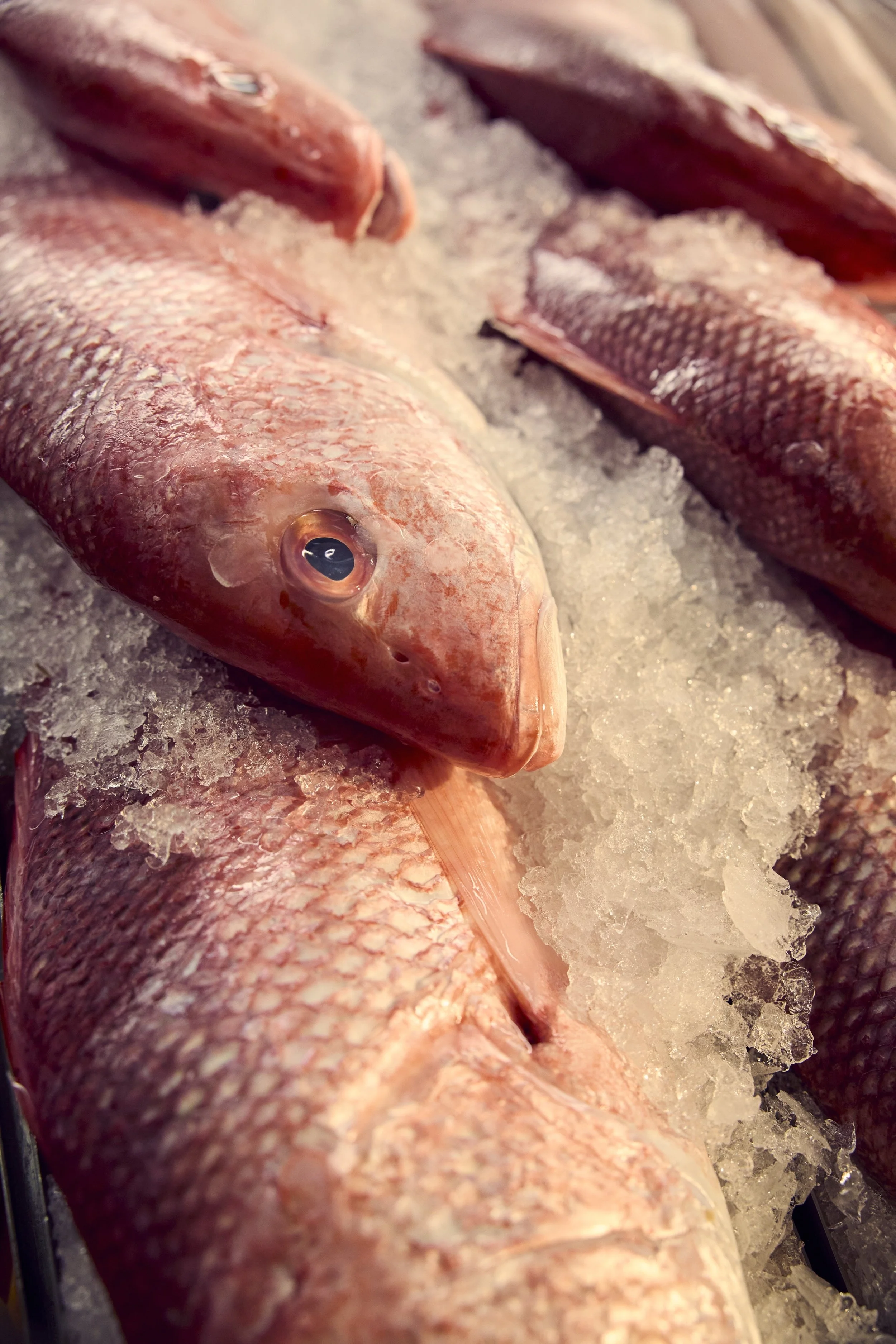 07-23-26-WFM-Shot02-SeafoodDept-0378_V02_QC.jpg