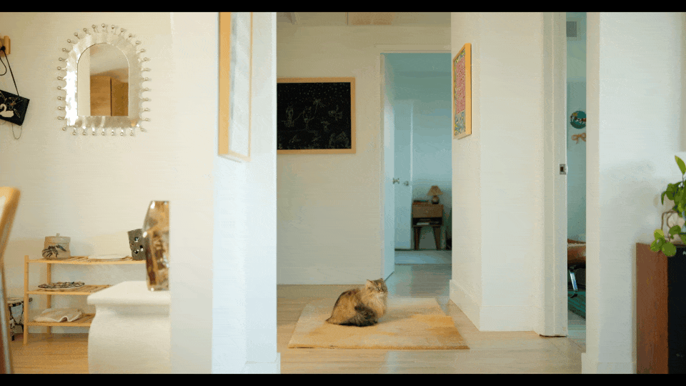 SELB4267.MP4.gif