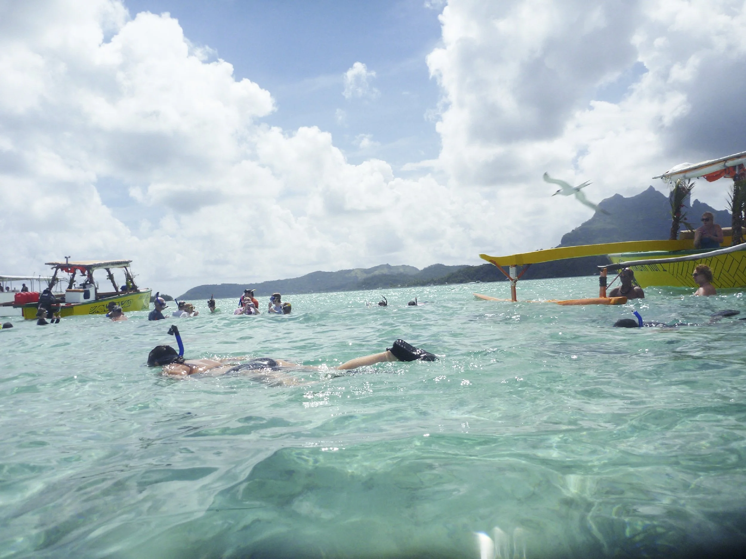 3_30_15_HoneyMoonBoraBora14833.jpg