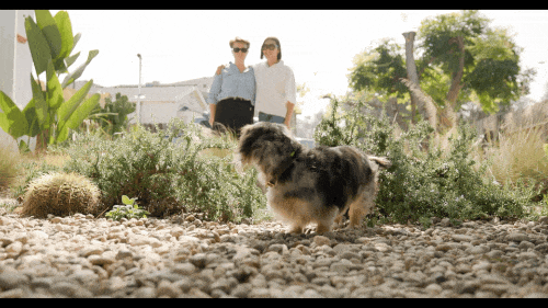 A004C197_260304HI_CANON.MXF.gif