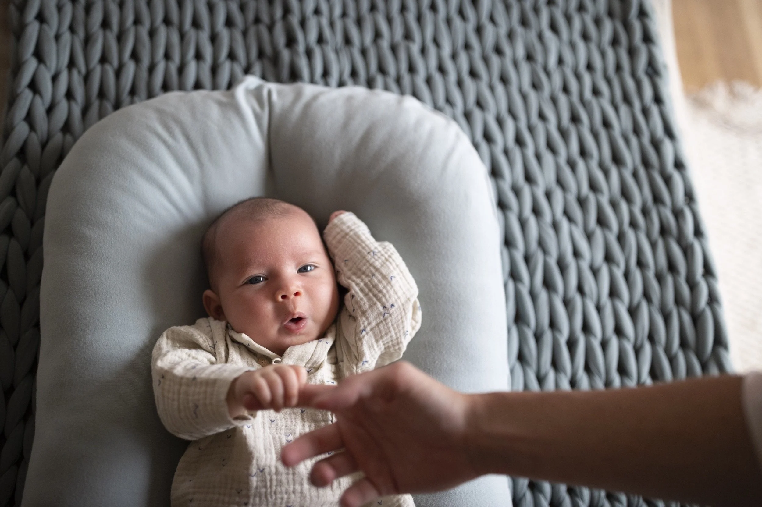 8-20-21-Ergobaby_MonroeSamyBabyKoa12064.jpg