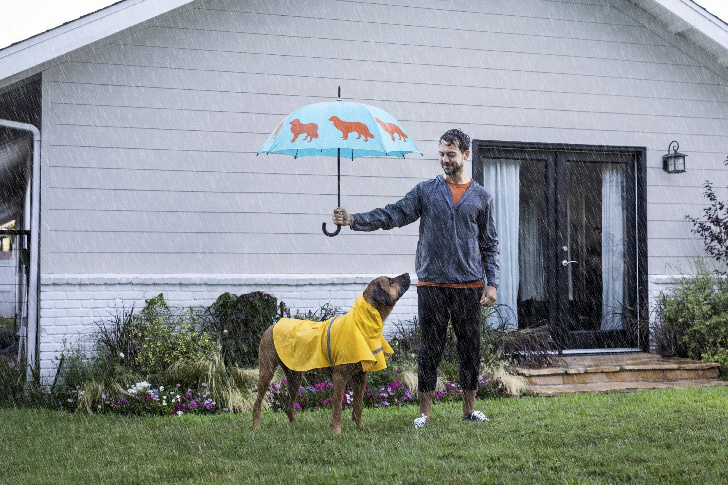 7_11_18_Nutrish_Shot05_RainyDay_4318-Edit.jpg
