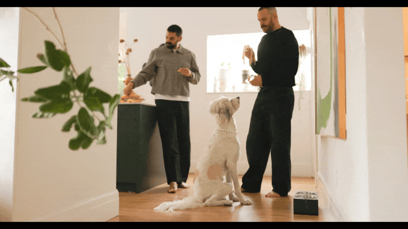 SELB0216.MP4.gif