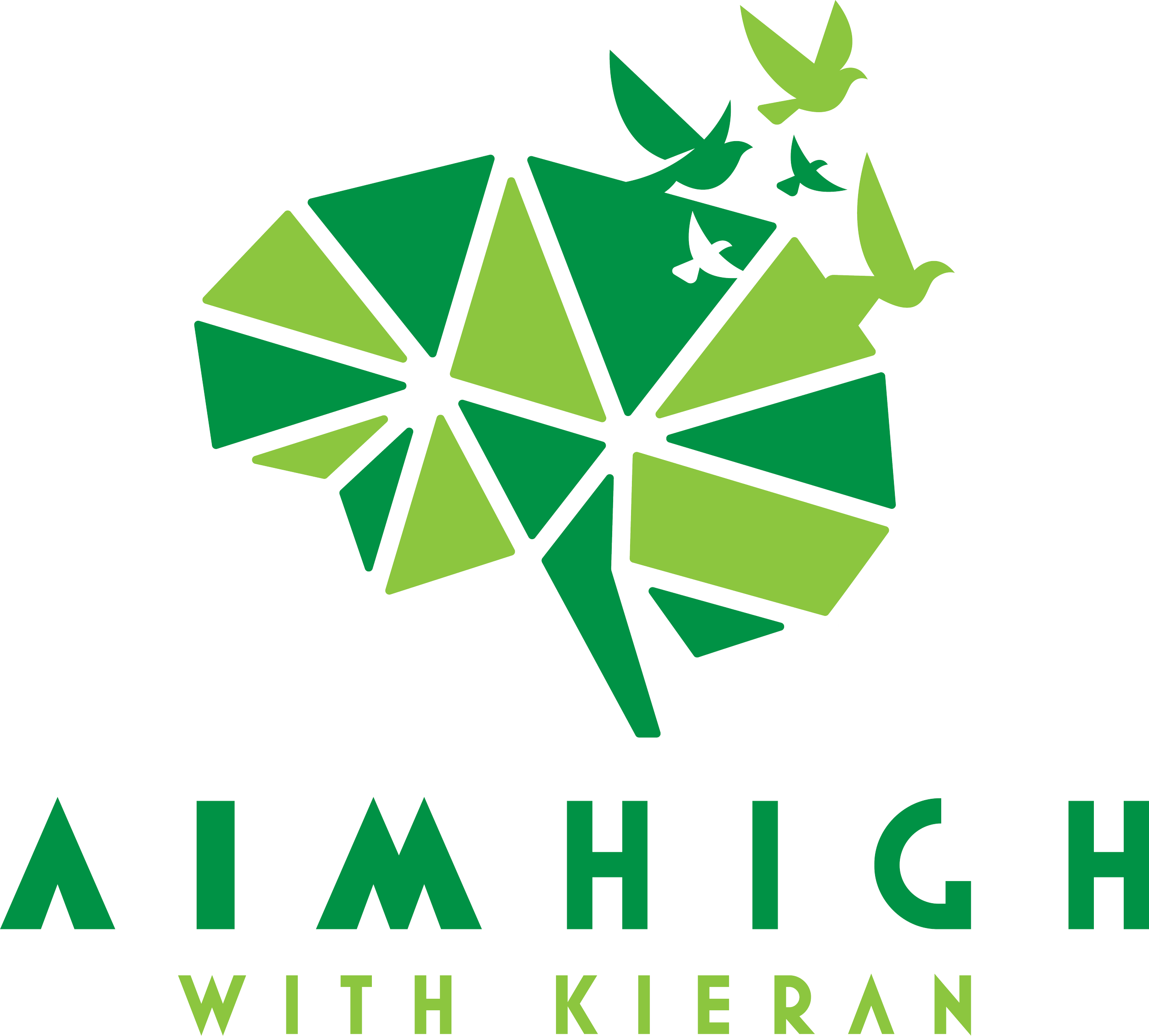 Green geometric brain shape with birds and the text 'AIMHIGH with Kieran'.
