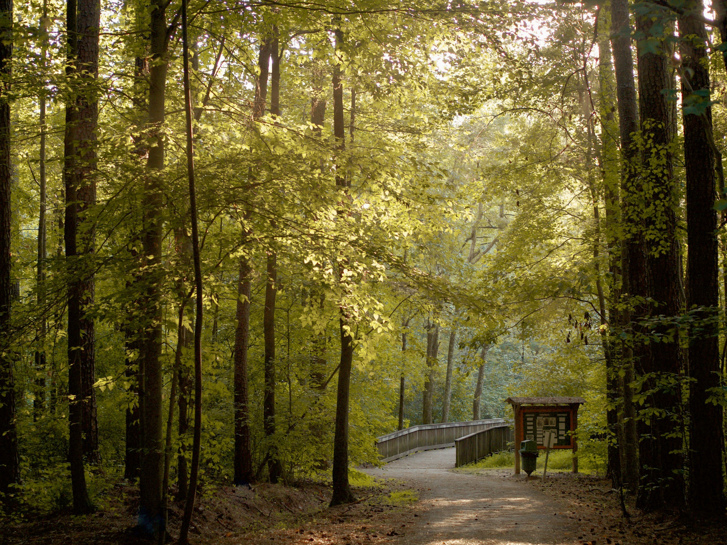 Saturday Trail 8.01