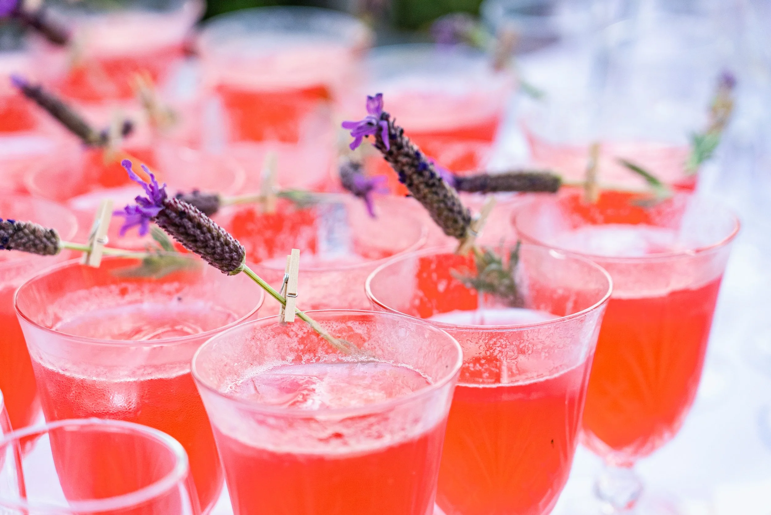 cocktails.jpg