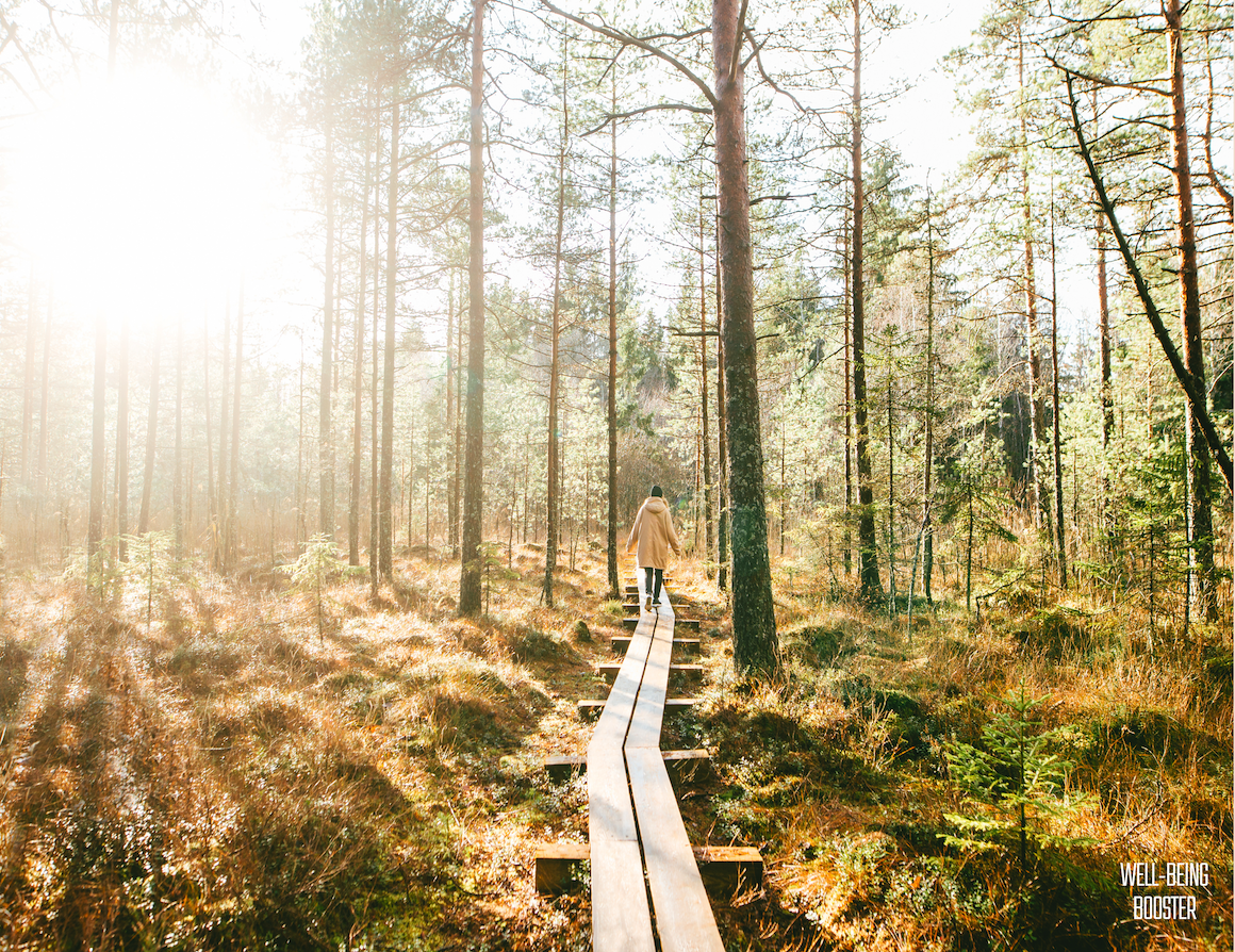 Forest Bathing for Nurses & Patients: Nature's Reset Button