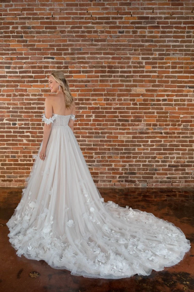 D3734/ SZ 22/ IVIV-PL