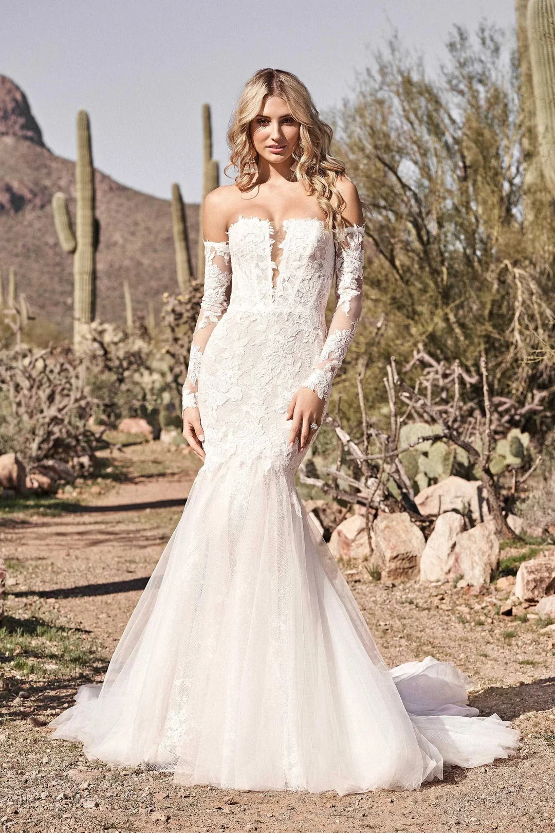 Lillian-West-66164-Wedding-Dress_a66c549b-79c0-4430-a3af-a90f9066bba1.webp