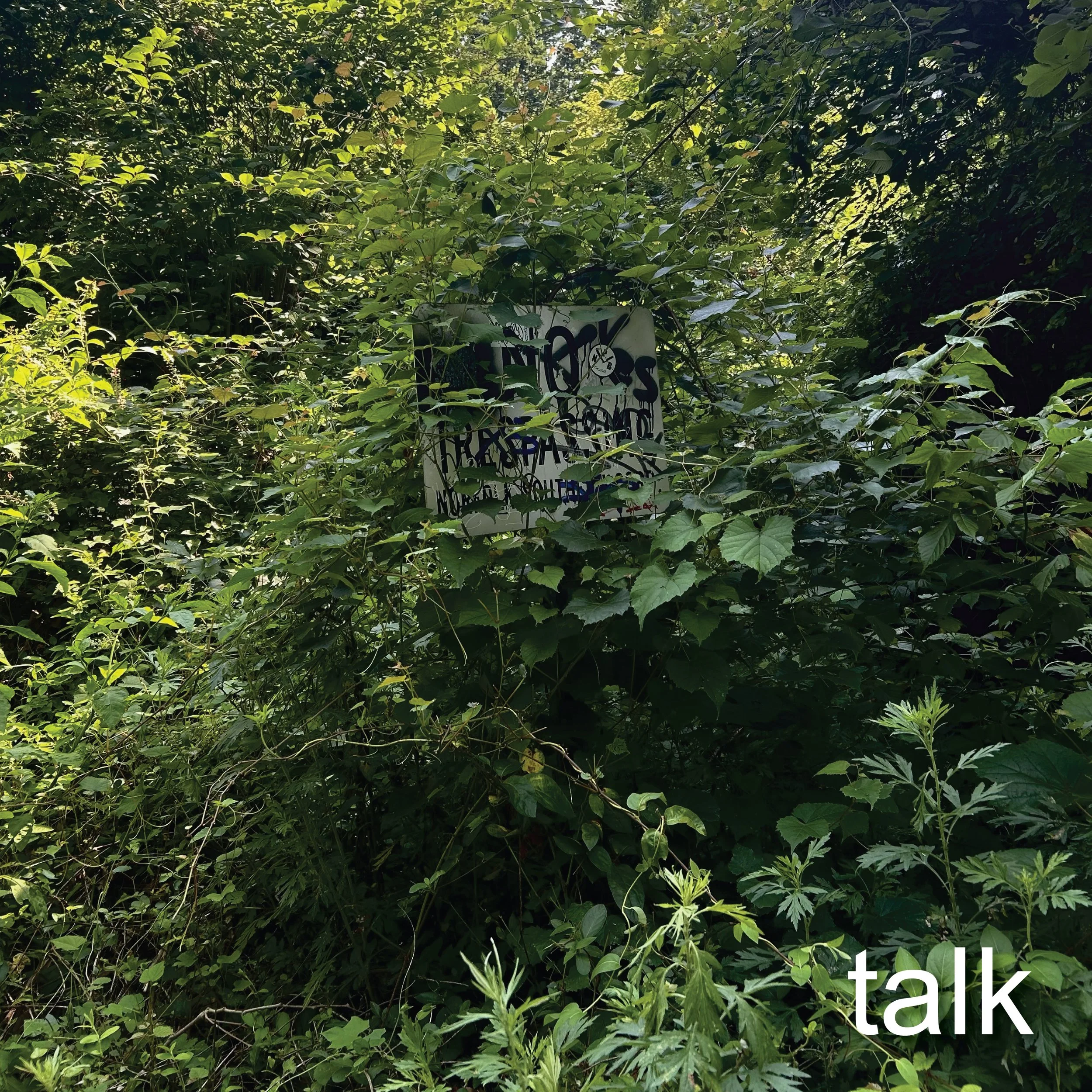 talk.JPEG